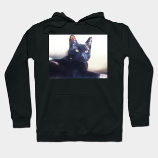 Blackest Beauty Hoodie